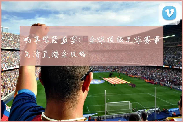 畅享绿茵盛宴:全球顶级足球赛事高清直播全攻略